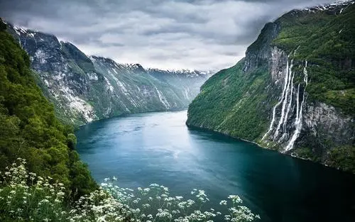 网络化创意